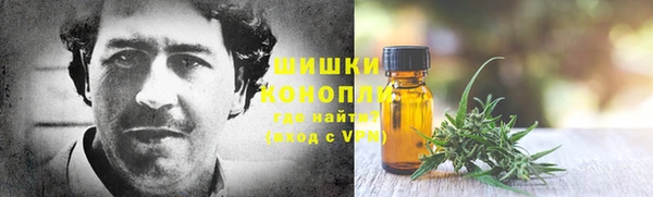 ГАЛЛЮЦИНОГЕННЫЕ ГРИБЫ Сатка