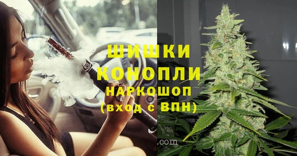 шишки Армянск