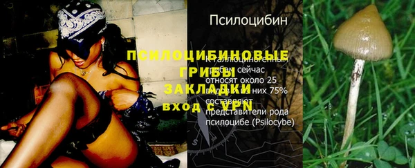 не бодяженный Саяногорск