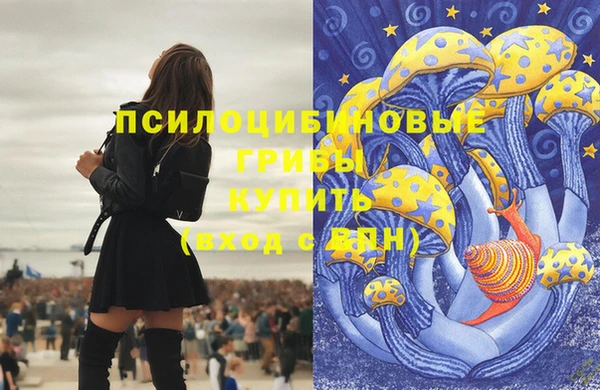 ешки Алексин