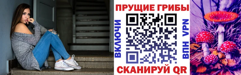 Псилоцибиновые грибы Magic Shrooms Приозерск